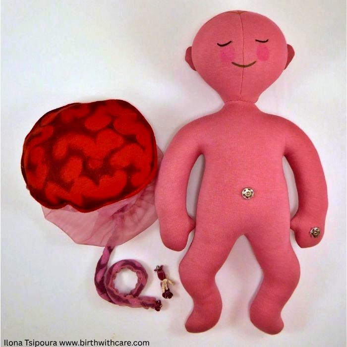 Large Newborn Doll Set