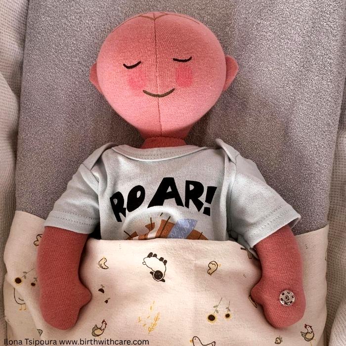 Large Newborn Doll Set