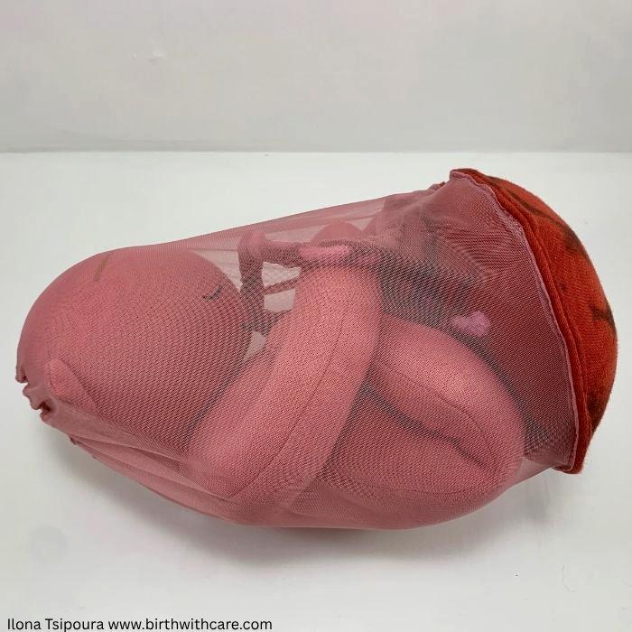 Large Newborn Doll Set