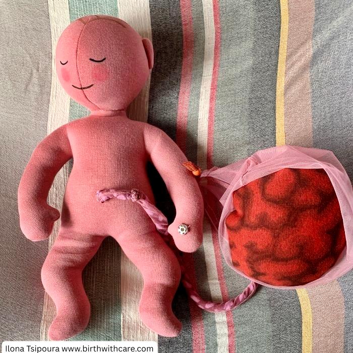 newborn doll set
