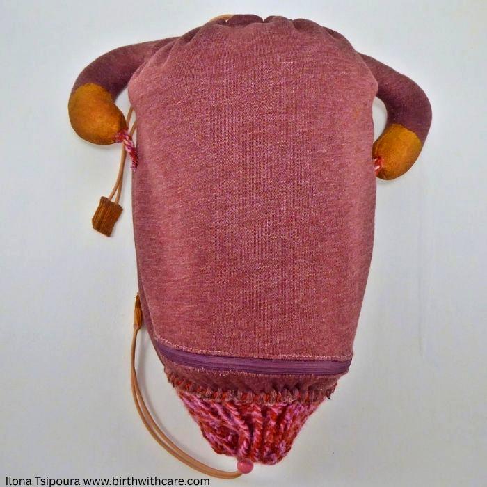 Pregnant Uterus Model
