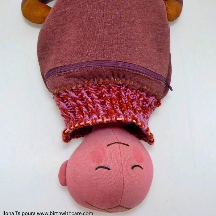 Pregnant Uterus Model