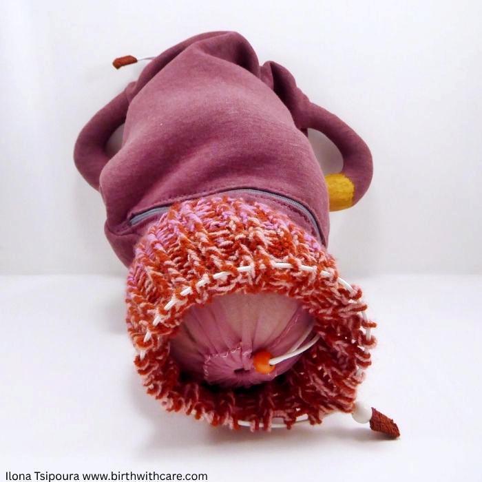 Pregnant Uterus Model