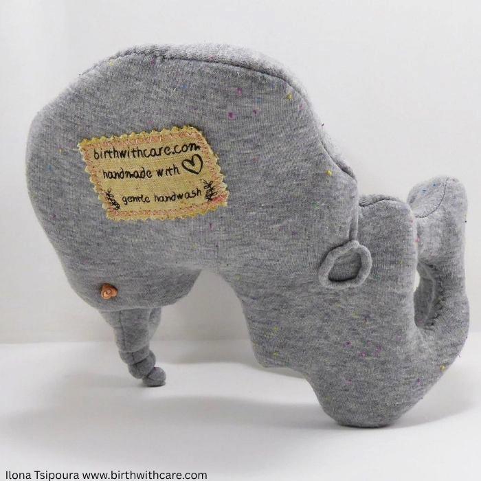 Pelvic Bone Model
