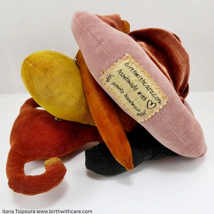 Female Pelvic Anatomy Model - “The Vulva Puzzle”