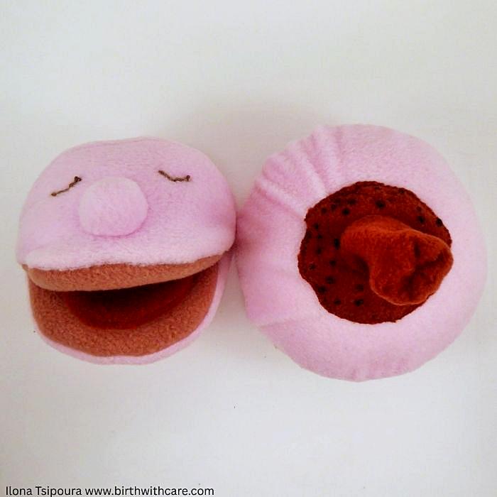 Breast and Mouth Set
