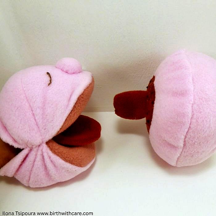 Breast and Mouth Set