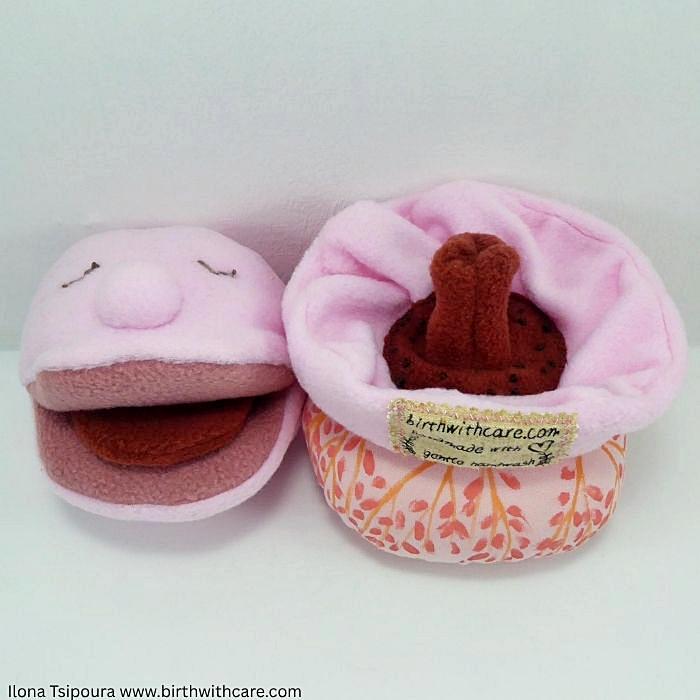 Breast and Mouth Set