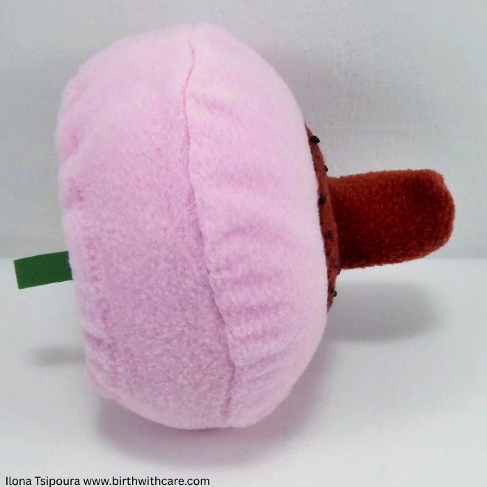 Breast and Mouth Set