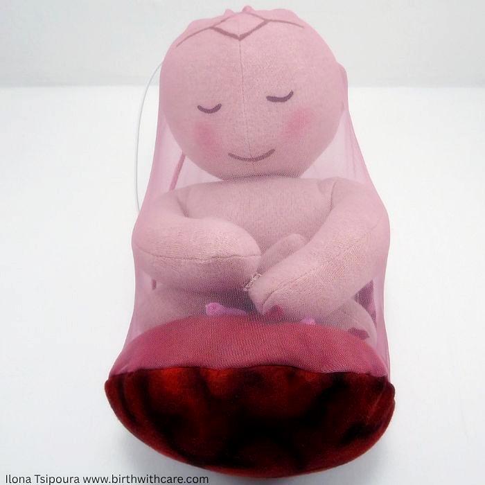 Small Newborn Doll Set