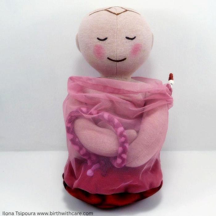 Small Newborn Doll Set