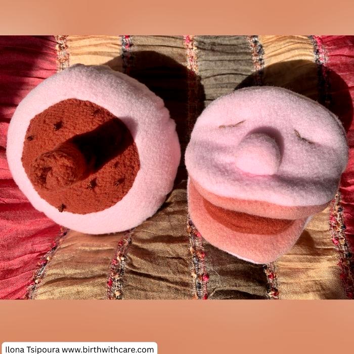 Breast and Mouth Set