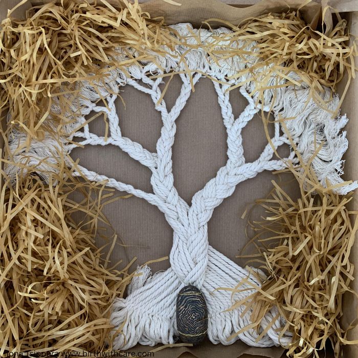 Tree of Life